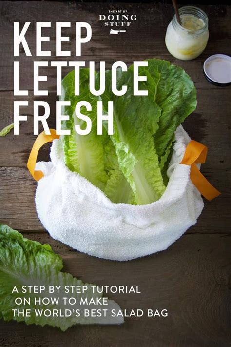 How To Store Lettuce And Keep It Fresh Salad Bag Lettuce Food Info