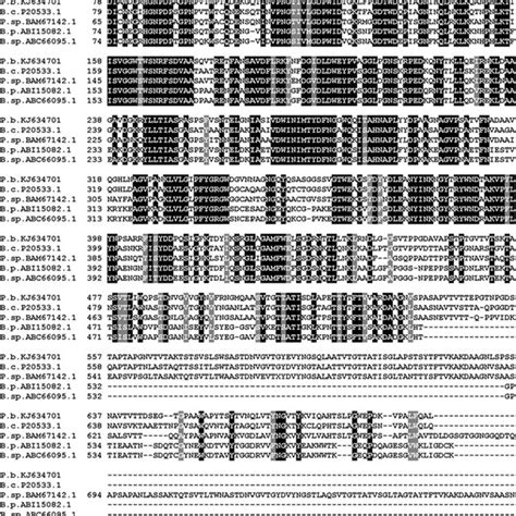 Sequence Alignment Of Pbchi From P Barengoltzii With Other Bacterial