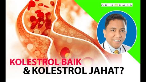 Dr Norman Kolesterol Baik And Kolesterol Jahat Youtube