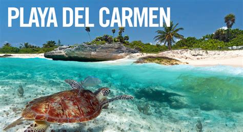 Playa Del Carmen All Inclusive Cheap Playa Del Carmen Vacation