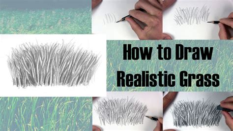 How To Draw Realistic Grass Thats Ready To Be Seen Lets Draw Today