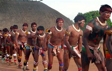 Terra Indígena Parque Do Xingu