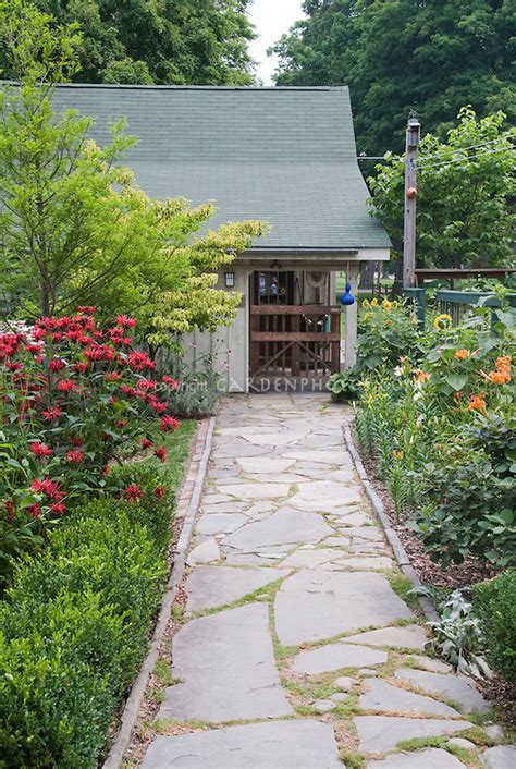 Backyard Path Through Flower Garden Plant And Flower Stock