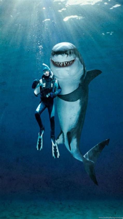 Great White Shark Wallpaper 70 Images