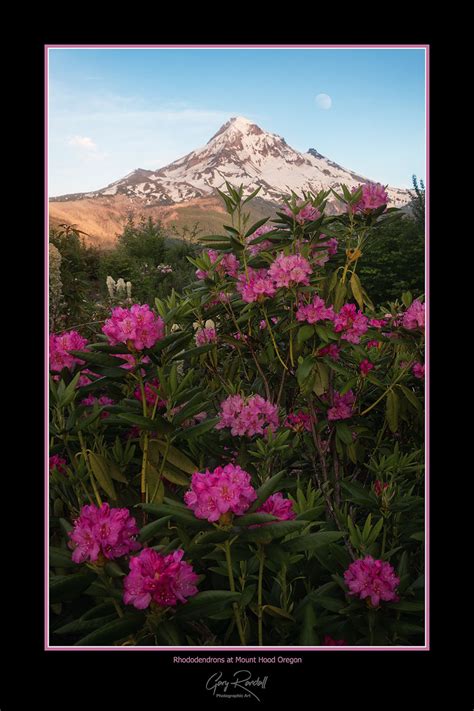 Gary Randall Limited Edition Oregon Landscape Photography Posters