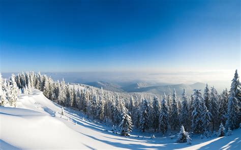 Wallpaper Winter Snow Forest Trees Mountain Top Sunshine 3840x2160