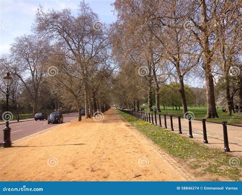 Street Near A Park Of Trees In A Sunny Day Editorial Stock Image