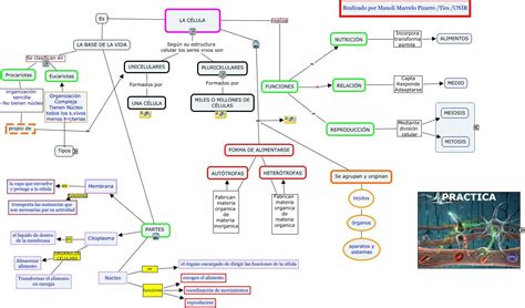 Mapa Conceptual De La Célula Mapas Conceptuales