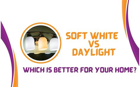 Soft White Vs Daylight Which Is Better For Your Home Humans