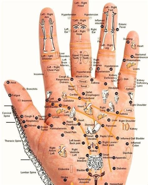 Regrann From Easternwellnessacupuncture Acupressure Points In Your