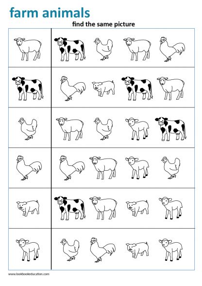 Preschool Farm Worksheet In 2020 Farm Preschool Farm Animals