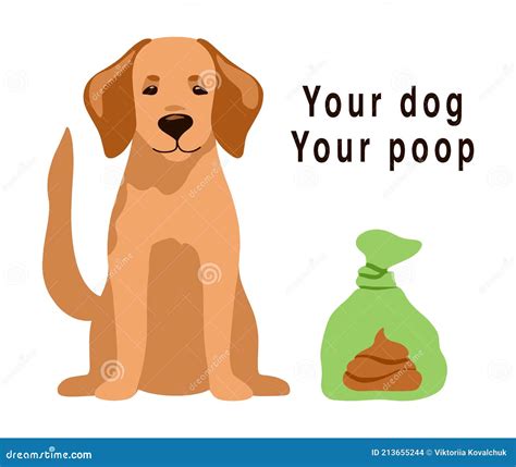 How Do You Clean Puppy Poop