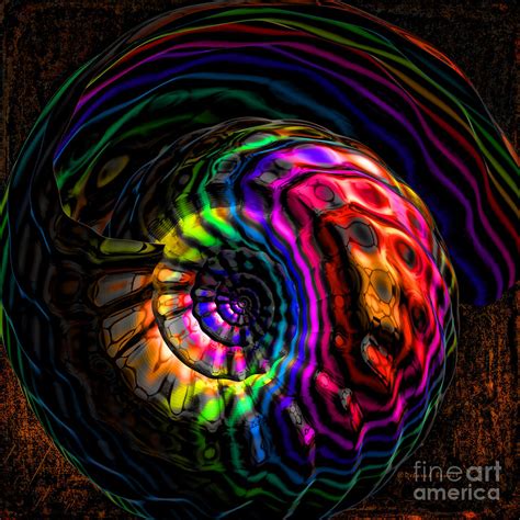 Rainbow Shell Digital Art By Deborah Benoit Fine Art America
