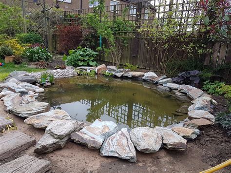 Wildlife Pond — Bbc Gardeners World Magazine