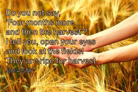 harvest poems