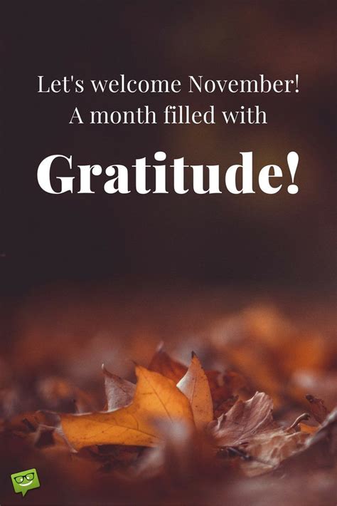 November Quote About Gratitufe On Wallpaper With Fallen Leaves