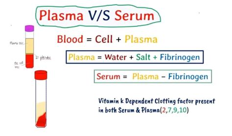 What Is The Difference Between Serum And Plasma In Detail With Defin...