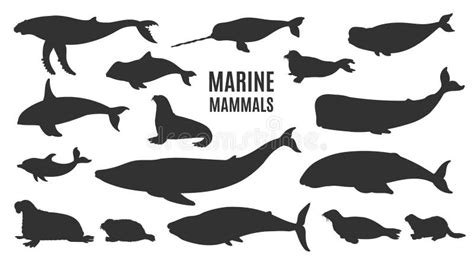 Marine Mammals Set Hand Drawn Sketch Vector Illustration Isolated On