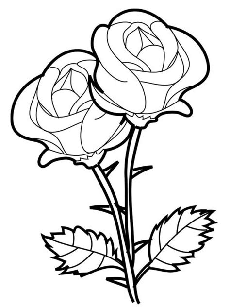 Invata sa desenezi flori de cires desen de primavara desenez. Trandafiri 2 | Desene de colorat