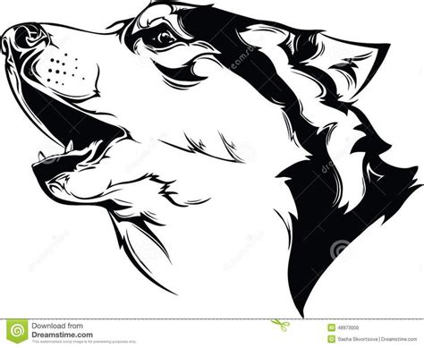 Head Howling Dog Stock Photo Image Of Siberian Drawing 48973000