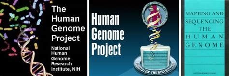 October 6 2015 25th Anniversary Of The Launch Of The Human Genome Project