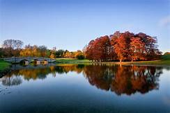 fall on the lake