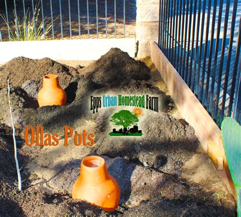But i don't really understand the point of it if you can just wait for an some hidden potential of the sale box? OLLA POTS - URBAN HOMESTEAD FARM* SUSTAINABLE GARDEN ...