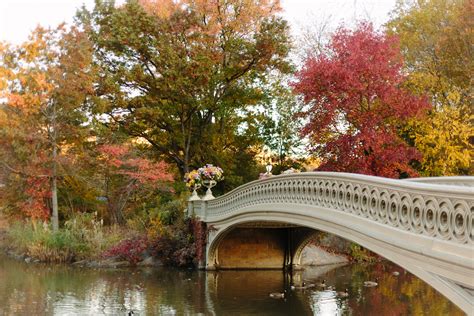 Photo Essays The Bow Bridge In Autumn York Avenue
