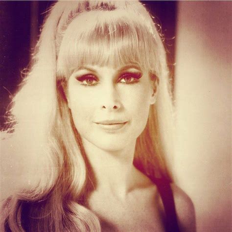 barbara eden i dream of jeannie beautiful women gorgeous bewitching blondes beauty skin