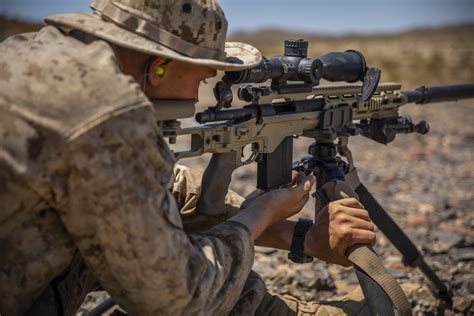Reserve Scout Sniper Platoon Conduct Live Fire Training During Itx 5 19