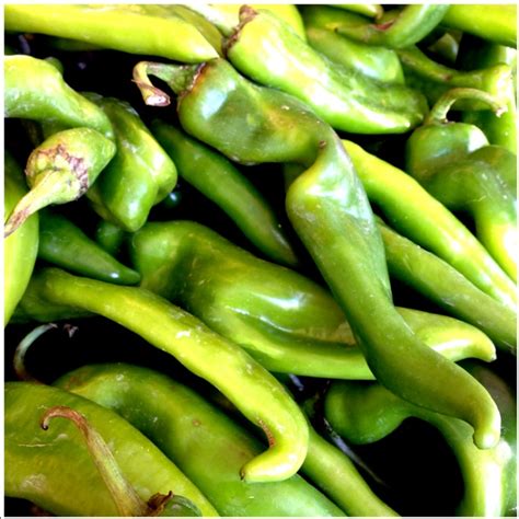 Hatch New Mexico Green Chile Peppers Information Recipes And Facts