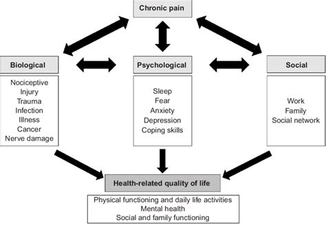 Biopsychosocial Model Diagram