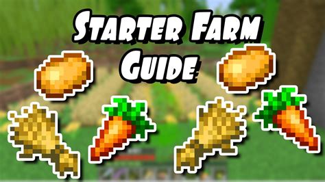 Let S Make The Best Minecraft Starter Farms In Survival Ultimate Guide Creeper Gg