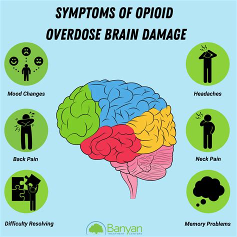 Can Opiates Cause Brain Damage Recovery Ranger