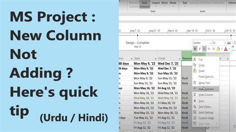 Ms Project How To Add New Column In Project Plan Percentage