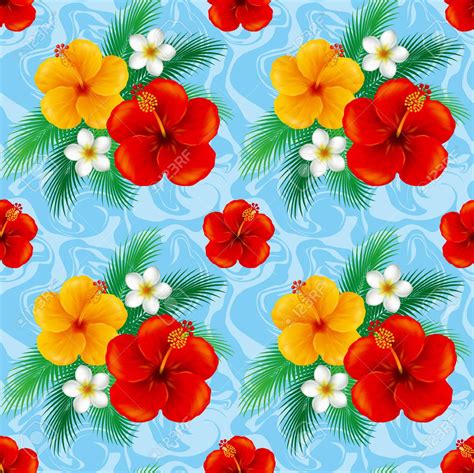 59 Hibiscus Wallpaper Wallpapersafari