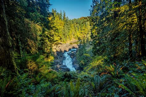 Picture Canada Vancouver Island Parks Nature Waterfalls Forests