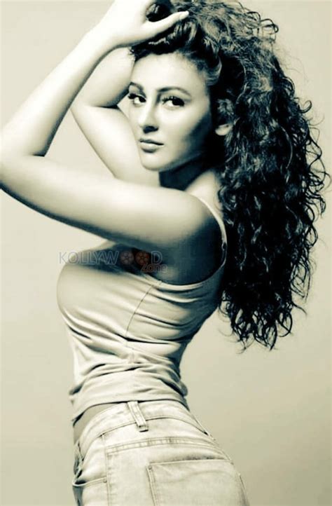Beautiful Sexy And Hot Indian Model Actress Seerat Kapoor Photos 19 163747 Kollywood Zone