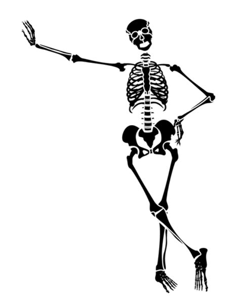 Animal Skeleton Clipart Images
