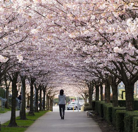 Springtime Bucket List 5 Things To Do In Vancouver Coast And Mountains