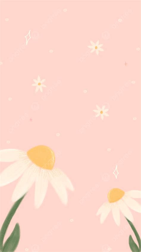 Aesthetic Daisy Flower Wallpaper Background Wallpaper Image For Free