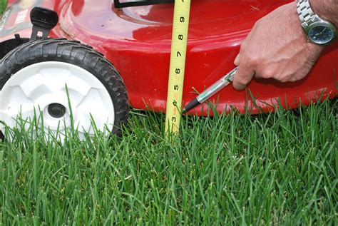 Best Practices For Mowing Your Lawn Lawn Maintenance Lawn Care Mowing