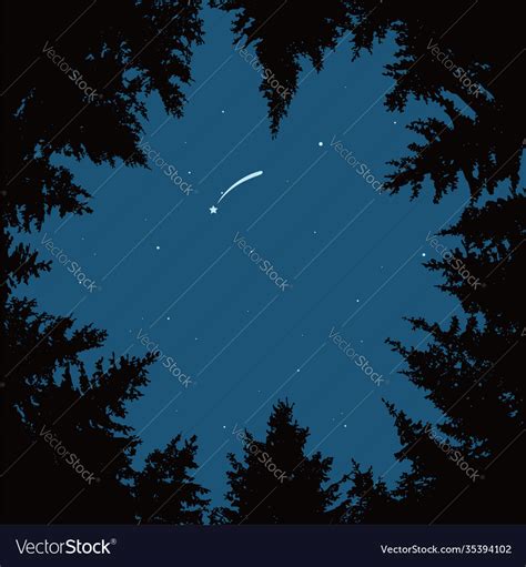 Night Sky With Stars And Dark Forest Trees Vector Image