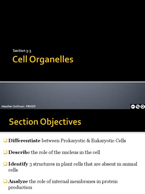 3 3 Cell Organelles Ppt 1193949429900273 1 Pdf Cell Biology