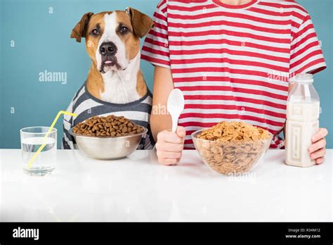 Can A Human Eat Dog Food