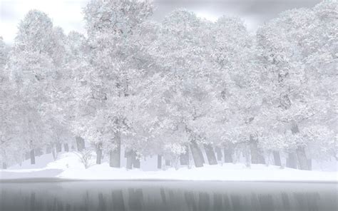 배경 화면 숲 분기 얼음 서리 동결 날씨 시즌 눈보라 1920x1200px 대기 현상 겨울 폭풍 비와 눈