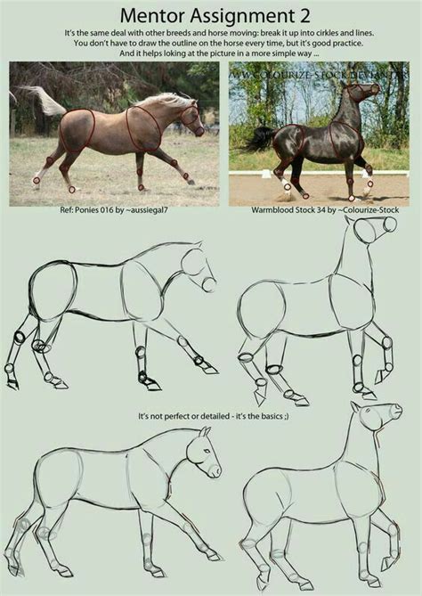 Pin Van Peter Melis Op Drawing Dieren Tekenen Paard Tekeningen