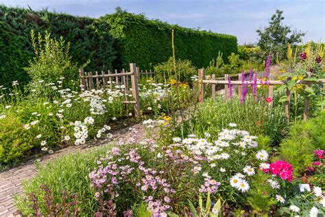 Designing A Dreamy Wildflower Garden You Can Maintain
