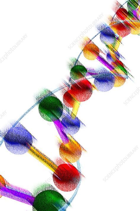 Artwork Of Dna Stock Image G1100547 Science Photo Library