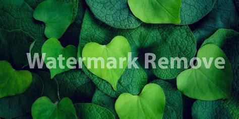 How To Remove Watermark From Pictures